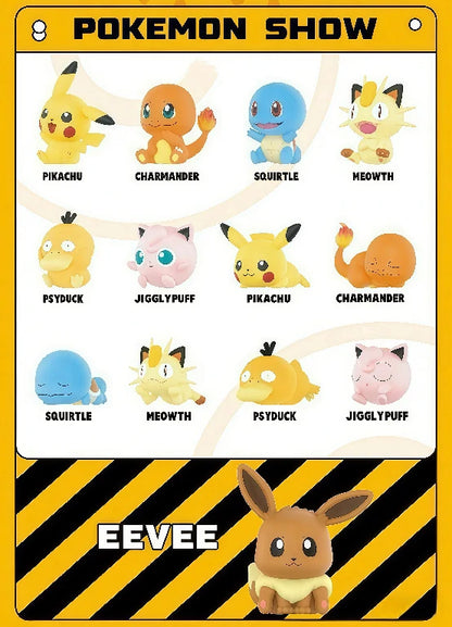 Pokemon Mystery Box